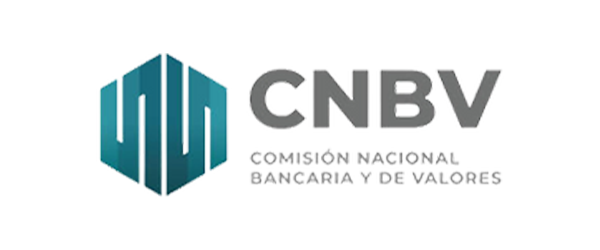 Logo CNBV